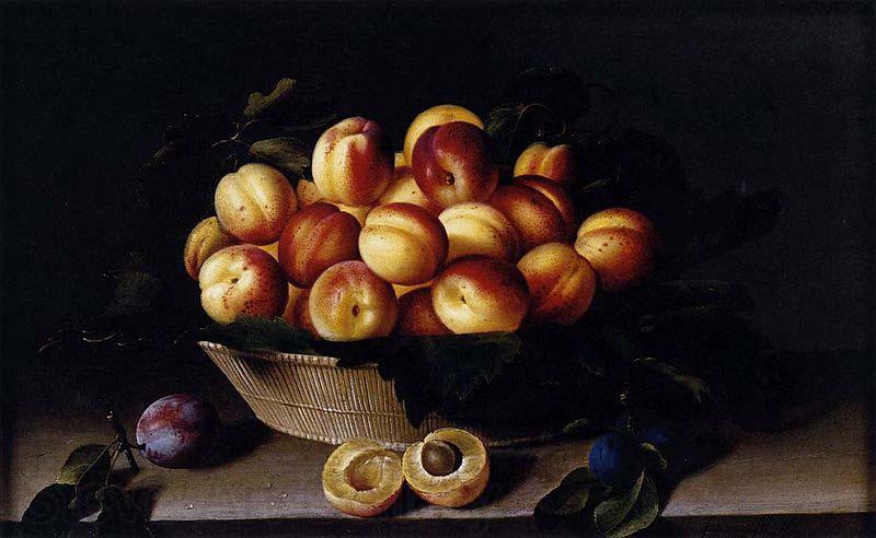 Louise Moillon Basket of Apricots Germany oil painting art